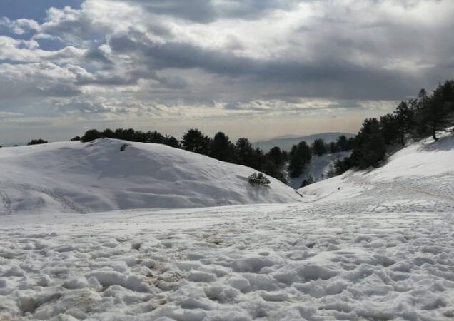 Mushkpuri